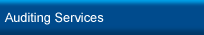 Auditing Services